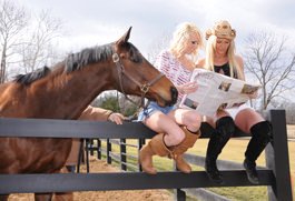 Betting on a Horse: Expert Stragegies & Tips