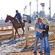 Brandi & Britney | Horse Race Handicappers's Horse Gambling Girls