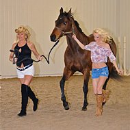 Brandi & Britney | Horse Race Handicappers's Horse Gambling Experts